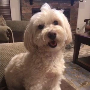 Meet your Posher, Yasmen